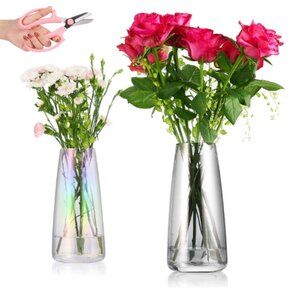 Set of 2 - Handmade Flower Vases - Modern Glass Flower Vases w/ Scissor & Brush